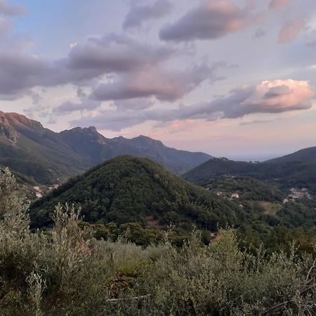 Вилла La Casa In Vigna Трамонти Номер фото