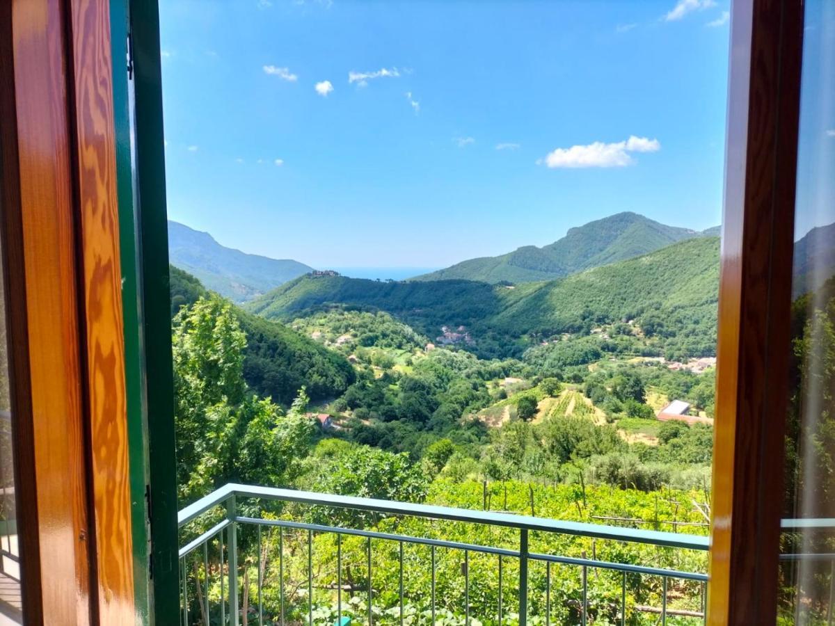 Вилла La Casa In Vigna Трамонти Экстерьер фото